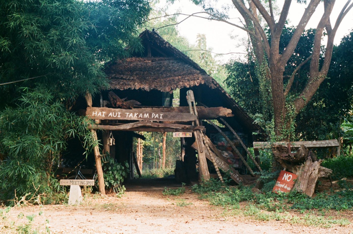 Những ngày ở Tacomepai Farm